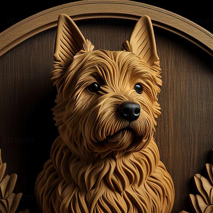 3D model Norwich Terrier dog (STL)